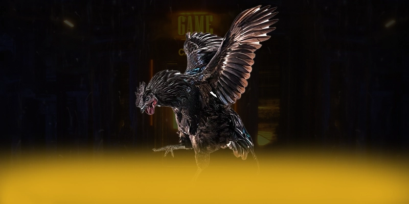 DAGA88 - Kết luận & gợi ý trải nghiệm một cách tổng quan.