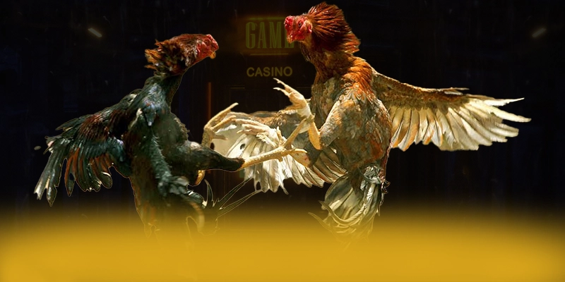 DAGA88 - Trang game với nhiều tựa game đổi thưởng hấp dẫn được giới cược thủ tin tưởng – Khám phá ngay DAGA88