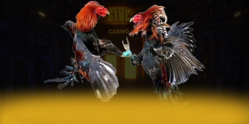 789P - Sảnh game mang đến trải nghiệm giải trí đỉnh cao trên thị trường – Khám phá ngay các trò chơi tại 789P