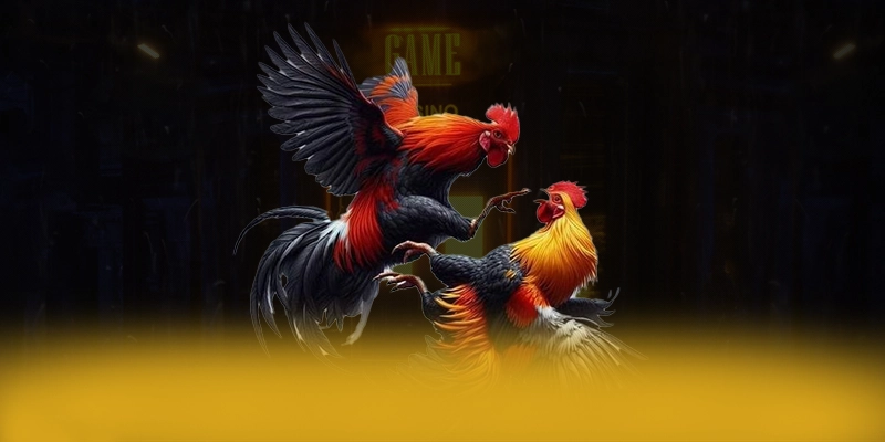 tài xỉu online – Nhà cái hàng đầu Việt Nam, được giới cược thủ đánh giá cao.