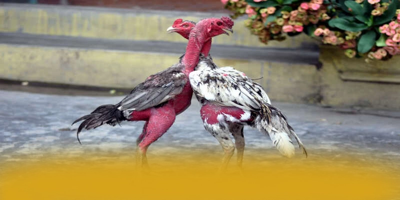 FAFA191 - Sảnh game với nhiều tựa game đổi thưởng hấp dẫn trên thị trường – Khám phá những game hot đến từ FAFA191