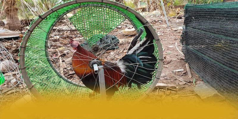 tài xỉu online - Sân chơi với chương trình tri ân lớn hiện nay – Điểm qua tài xỉu online