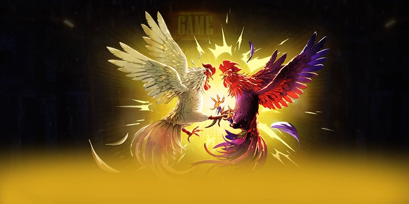 ĐÁ GÀ TRỰC TIẾP – Cổng giải trí được đánh giá cao, được cộng đồng game thủ tin tưởng.