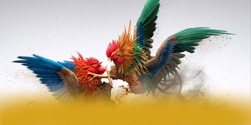 B52 – Thương hiệu chất lượng, khẳng định vị thế hàng đầu tại Việt Nam.