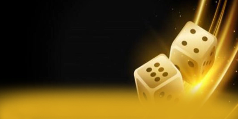 8XBET - Kết luận một cách chi tiết