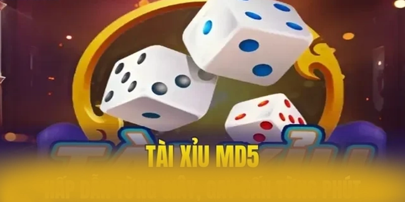 Khám phá XO88 - Nhà cái cá cược chất lượng cao hiện nay