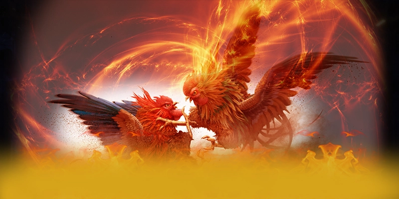 Mì tôm TV - Lời kết dành cho người yêu thể thao