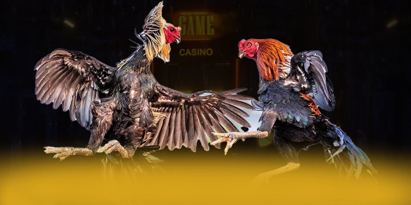 Tìm hiểu 8XBET - Cổng game đổi thưởng hàng đầu hiện nay