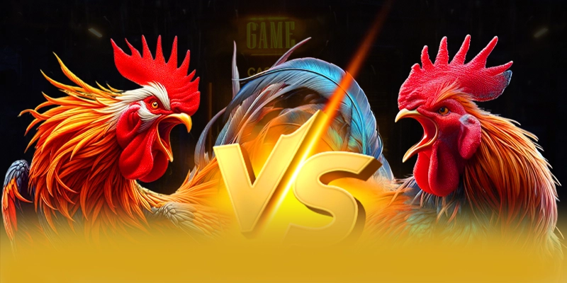 Cung trai nghiem 8XBET - San choi duoc tin dung tren thi truong
