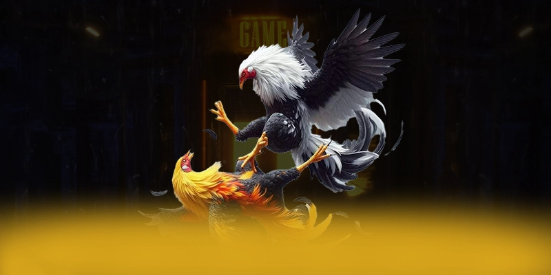 FB88 - Cổng giải trí được game thủ yêu thích hiện nay