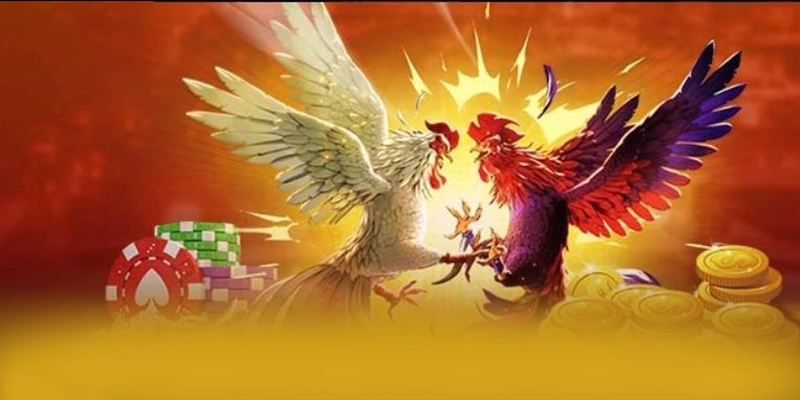 Nhận xét từ game thủ về [THUONG_HIEU]